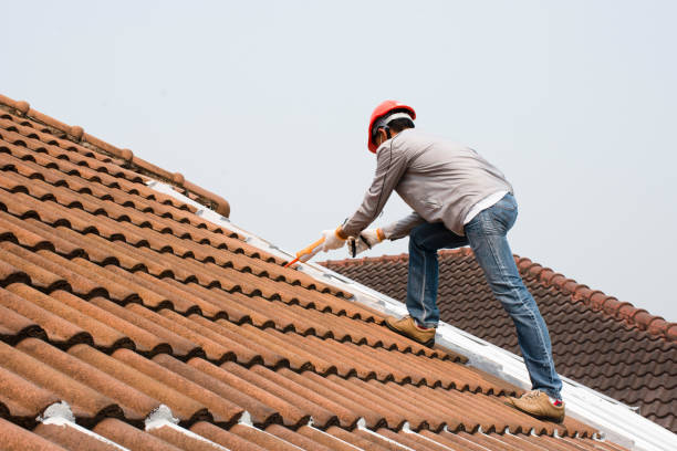 Professional Roofing servicies in San Antonio, FL